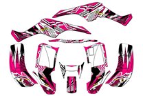 Kit adesivi compatibile con per HONDA TRX 250EX 2001 - 2004 - MXPKAD14959