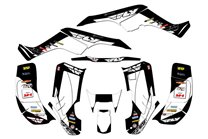 Kit adesivi compatibile con per HONDA TRX 250EX 2001 - 2004 - MXPKAD14959