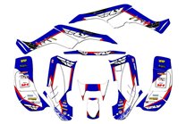 Aufkleber Satz kompatibel mit per HONDA TRX 250EX 2001 - 2004 - MXPKAD14959