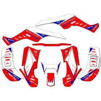 Kit adesivi compatibile con per HONDA TRX 250EX 2001 - 2004 - MXPKAD14959