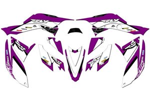 Kit adesivi compatibile con per HONDA TRX 400 EX 2008 - 2018 - MXPKAD14967