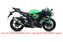 Painted Race Fairings Kawasaki Zx6R 2019 - 2022 - MXPCRV14218