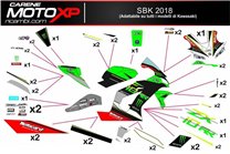 Sticker set compatible with Kawasaki Zx6R 2009 - 2012 - MXPKAD9753