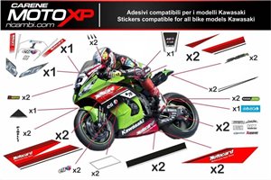 Kit de pegatinas compatible con Kawasaki Zx10R 2006 - 2007 - MXPKAD9833