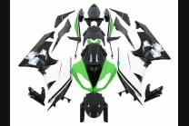 Lackierte Straße Verkleidung auf ABS kompatibel mit Kawasaki ZX6R 2009 - 2012 - MXPCAV2543