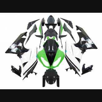 Lackierte Straße Verkleidung auf ABS kompatibel mit Kawasaki ZX6R 2009 - 2012 - MXPCAV2543