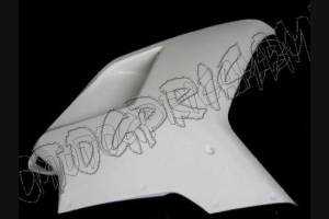 Ducati 848 1098 1198 Verkleidungen vorderer ohne Hoecker SuperBike - MXPCRD2650