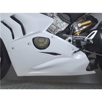Ducati Panigale V4R V4 2019 - 2021 VS2 Verkleidung mit Hoecker ohne Kotflugel - MXPCRD16476