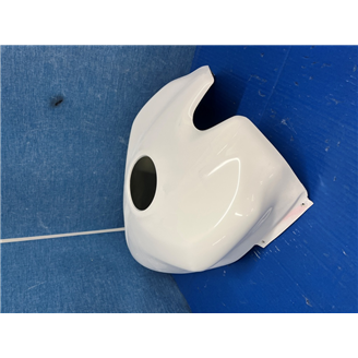 Lackierte Tankabdeckung fur Ducati Panigale V2 - MXPCRV12643