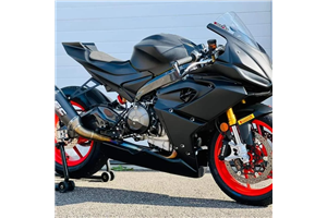 Painted Race Fairings Aprilia RS 660 2020 - 2023 - MXPCRV16564