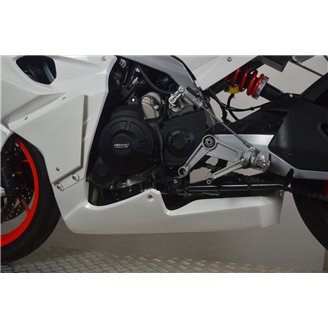 Carénages Aprilia RS 660 2020 - 2021 sans Pare-boue - MXPCRD12966