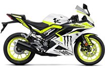 Lackierte Straße Verkleidung auf ABS kompatibel mit Yamaha YZF R125 2019 - 2020 - MXPCAV16661