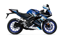 Lackierte Straße Verkleidung auf ABS kompatibel mit Yamaha YZF R125 2019 - 2020 - MXPCAV16663