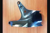 Carbon frame cover