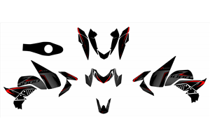 Sticker set compatible with per KAWASAKI Z1000 2007 - 2009 - MXPKAD16253