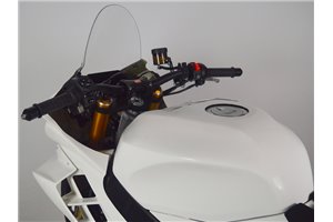 Aprilia RSV 4 2013-2020 / conversión RSV 4 2021 - Juego completo racing 8 piezas - MXPCRD17008