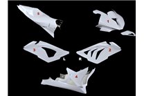 Race Package pour Bmw S 1000 RR 2009 - 2014: Carénages + Crochets rapides - MXPCRD11573