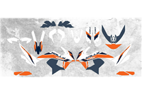 Kit de pegatinas compatible con per KTM 790 890 Adventure R 2019 - 2023 - MXPKAD16279