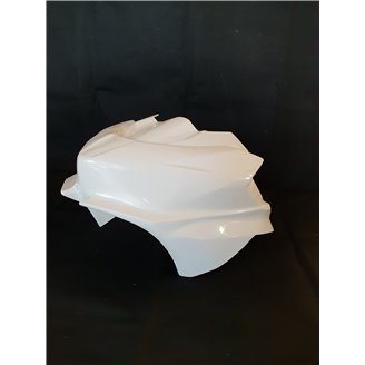 Race-Paket Kawasaki Ninja 400 2018 - 2023 : Verkleidungen + Schnellverschluss - MXPCRD11585