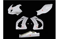 Race Package Kawasaki Zx10R 2016 - 2020 : racing fairings + Fasteners - MXPCRD11590 2