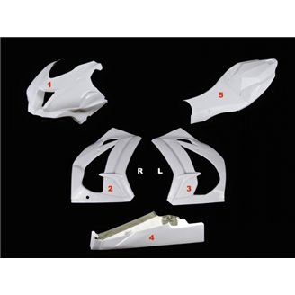 Race Package Kawasaki Zx10R 2016 - 2020 : racing fairings + Fasteners - MXPCRD11590