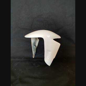 Pare-boue avant Ducati Panigale V4 V4S V4R 2022- 2024 - MXPCRD17068