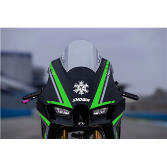 Lackierte Rennverkleidung Kawasaki Zx10R 2021 - 2024 MXPCRV17074