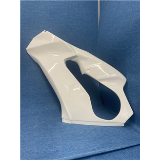 Carenage Racing Peint Kawasaki Zx10R 2021 - 2024 MXPCRV17143