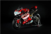 Painted Race Fairings Ducati Panigale V2 2020 - 2024 - MXPCRV17276