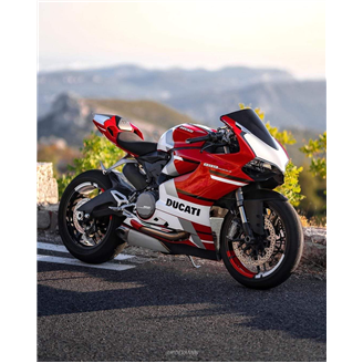 Carene stradali in abs verniciate compatibili con Ducati 899 1199 Panigale - MXPCAV7372