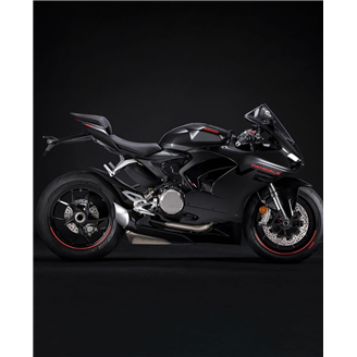 Carenage en abs pour la roue avec peinture compatible avec Ducati Panigale V2 2020 - 2024 - MXPCRV17278