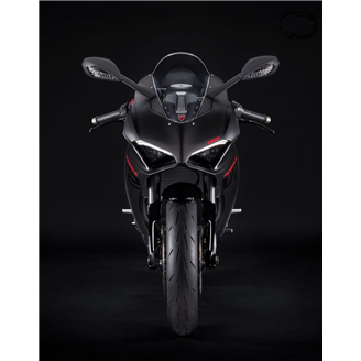 Carenage en abs pour la roue avec peinture compatible avec Ducati Panigale V2 2020 - 2024 - MXPCRV17278