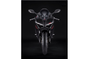 Carenage en abs pour la roue avec peinture compatible avec Ducati Panigale V2 2020 - 2024 - MXPCRV17278