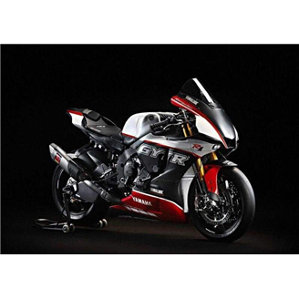 Lackierte Rennverkleidung Yamaha R1 2015 - 2019 - MXPCRV17432