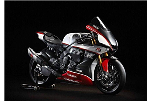 Lackierte Rennverkleidung Yamaha R1 2015 - 2019 - MXPCRV17432