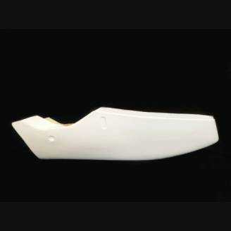 Complete fairings without front fender 