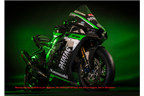 Carenage Racing Peint Kawasaki Zx10R 2021 - 2024 MXPCRV17565