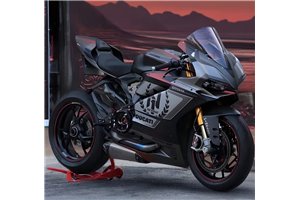 Painted street fairings in abs compatible with Ducati 1299 Panigale - MXPCAV17634