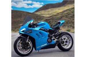 Carene stradali in abs verniciate compatibili con Ducati Panigale V4R 2018-2021 MXPCAV17595