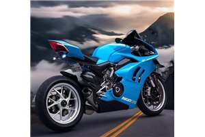 Carene stradali in abs verniciate compatibili con Ducati Panigale V4R 2018-2021 MXPCAV17595