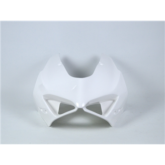 Ducati Panigale V4 V4R 2022 - 2024 Verkleidung mit Hoecker ohne Kotflugel - MXPCRD17067