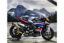 Carenage Racing Peint Bmw S1000 RR 2019 - 2022 - MXPCRV17729