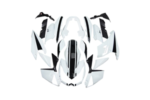 Lackierte Straße Verkleidung auf ABS kompatibel mit Kawasaki Z1000 2010 - 2013 - MXPCAV17873