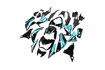 Painted street fairings in abs compatible with Kawasaki Z800 2013 - 2018 - MXPCAV17882