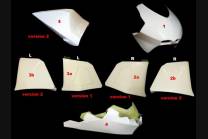 Complete fairings with front fender 2