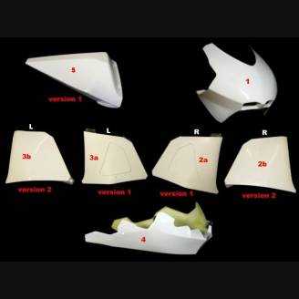 Complete fairings with front fender 