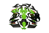 Lackierte Straße Verkleidung auf ABS kompatibel mit Kawasaki Ninja 650 2020 - 2024 - MXPCAV17904