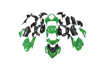 Lackierte Straße Verkleidung auf ABS kompatibel mit Kawasaki Z900 2017 - 2019 - MXPCAV17916