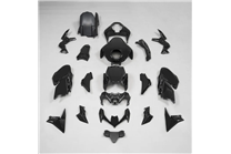 Lackierte Straße Verkleidung auf ABS kompatibel mit Kawasaki Z900 2020 - 2012 - MXPCAV17917