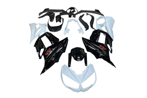 Carenage en abs pour la roue avec peinture compatible avec Kawasaki Z1000SX 2010 - 2015 - MXPCAV17925